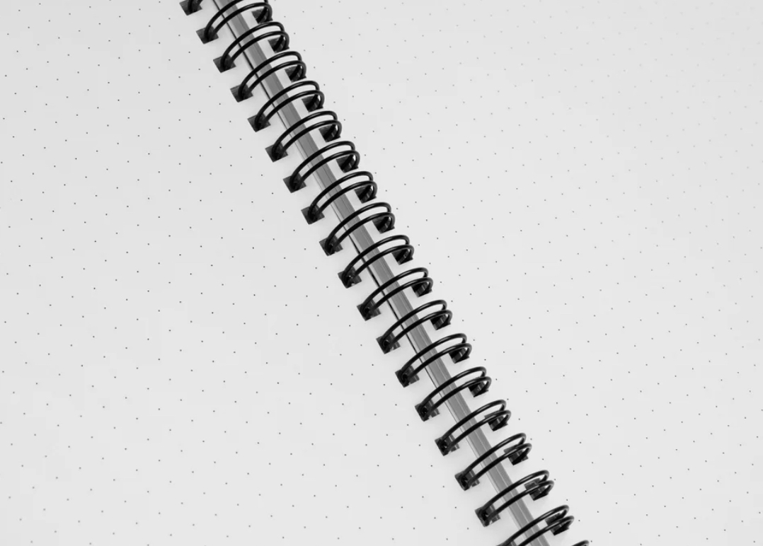 Spiral notebook 'Chicago Squirrels'